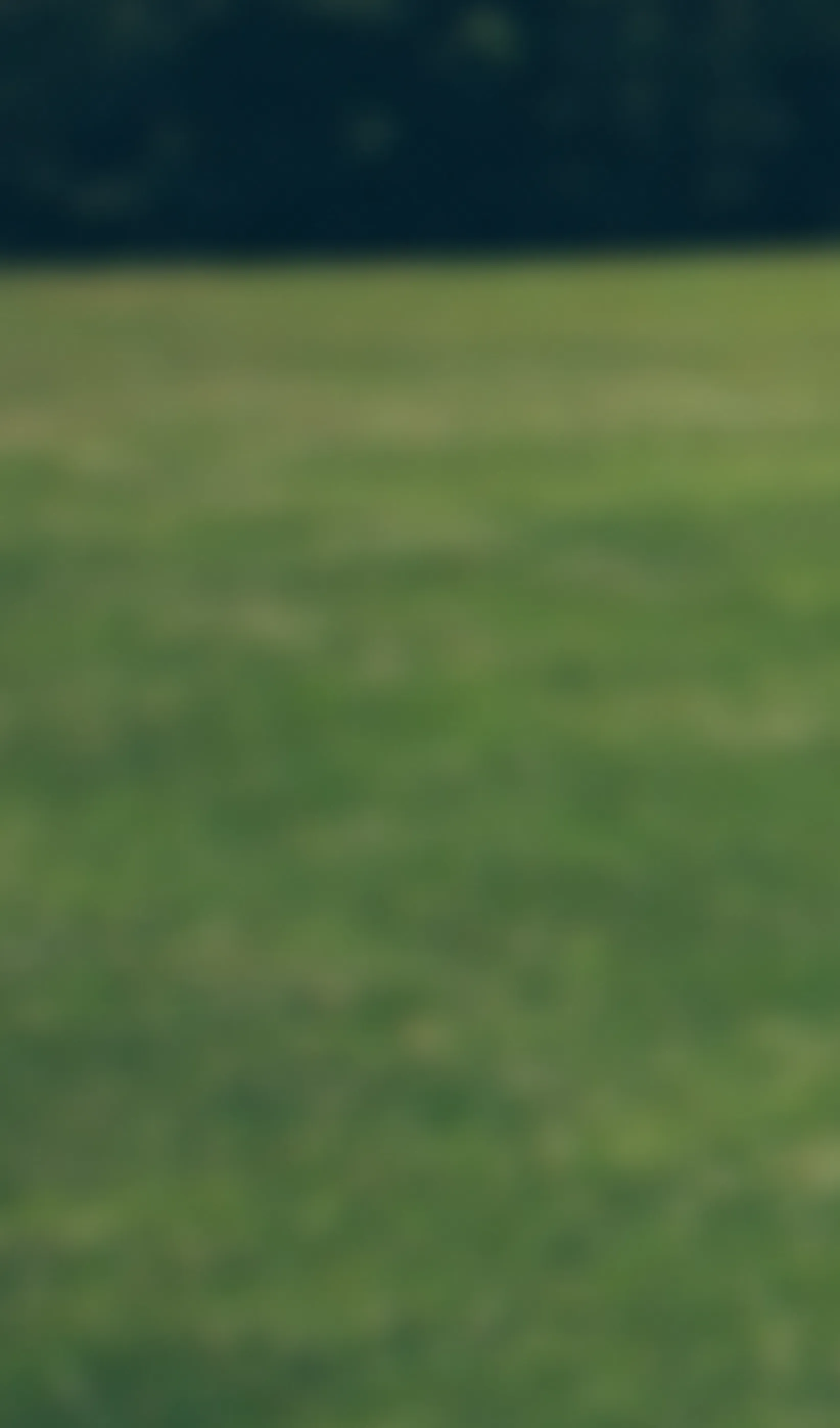 Captura de datos en campo